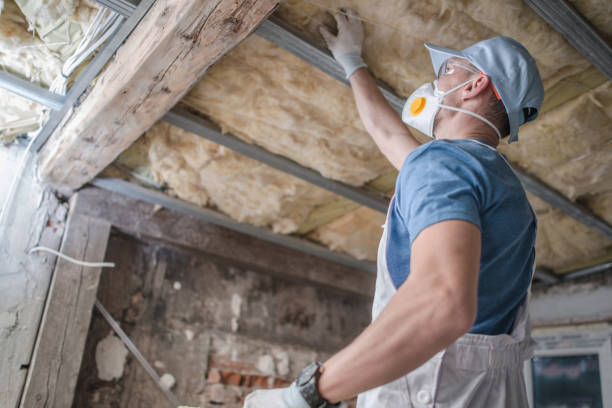 Best Geographic-Specific Insulation Services in Day Valley, CA