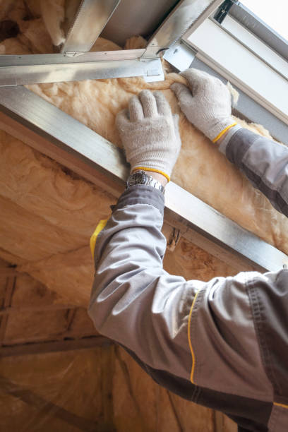 Best Cellulose Insulation in Day Valley, CA