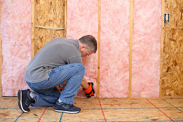 Best Insulation Maintenance and Repair in Day Valley, CA