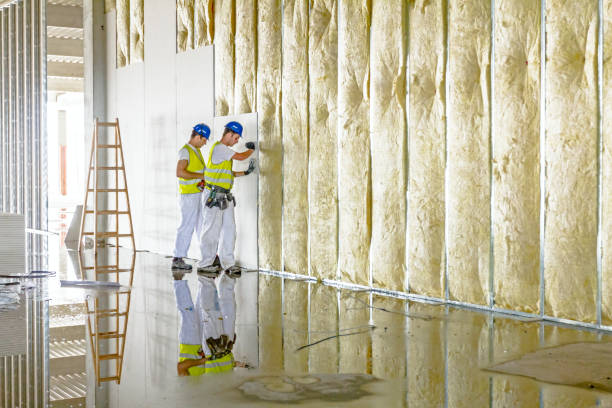 Best Spray Foam Insulation in Day Valley, CA